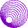 Logo Jakob Lieser - wp4u